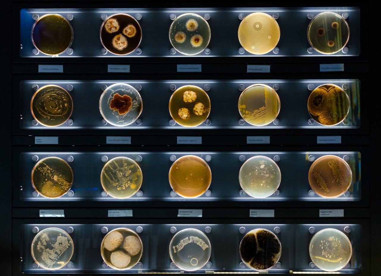 shutterstock1416813431-maldi-biotyper-microbial-research-bob电竞安全吗bruker-md-web
