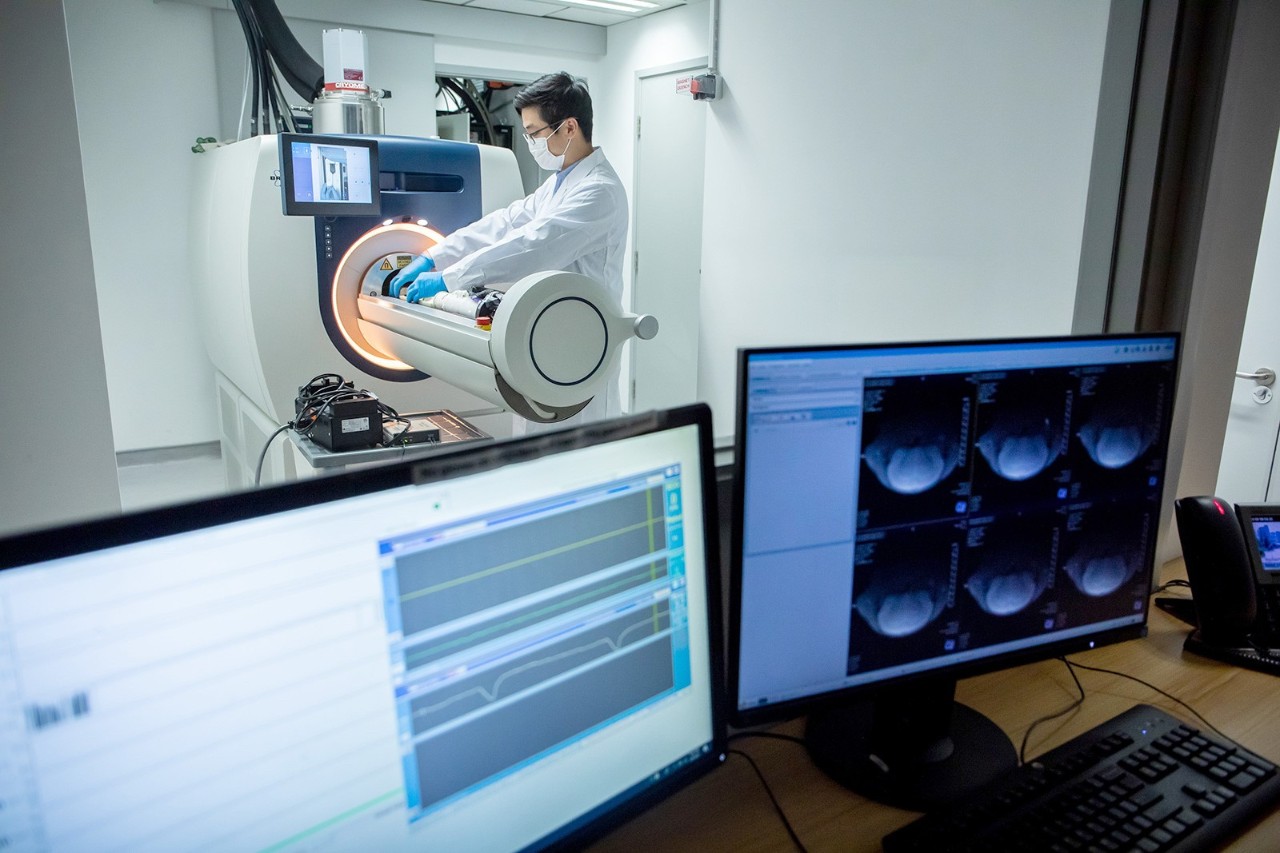 高分辨率earlydetection