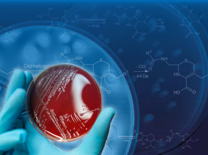 mbt-star-bl-assays-ruo