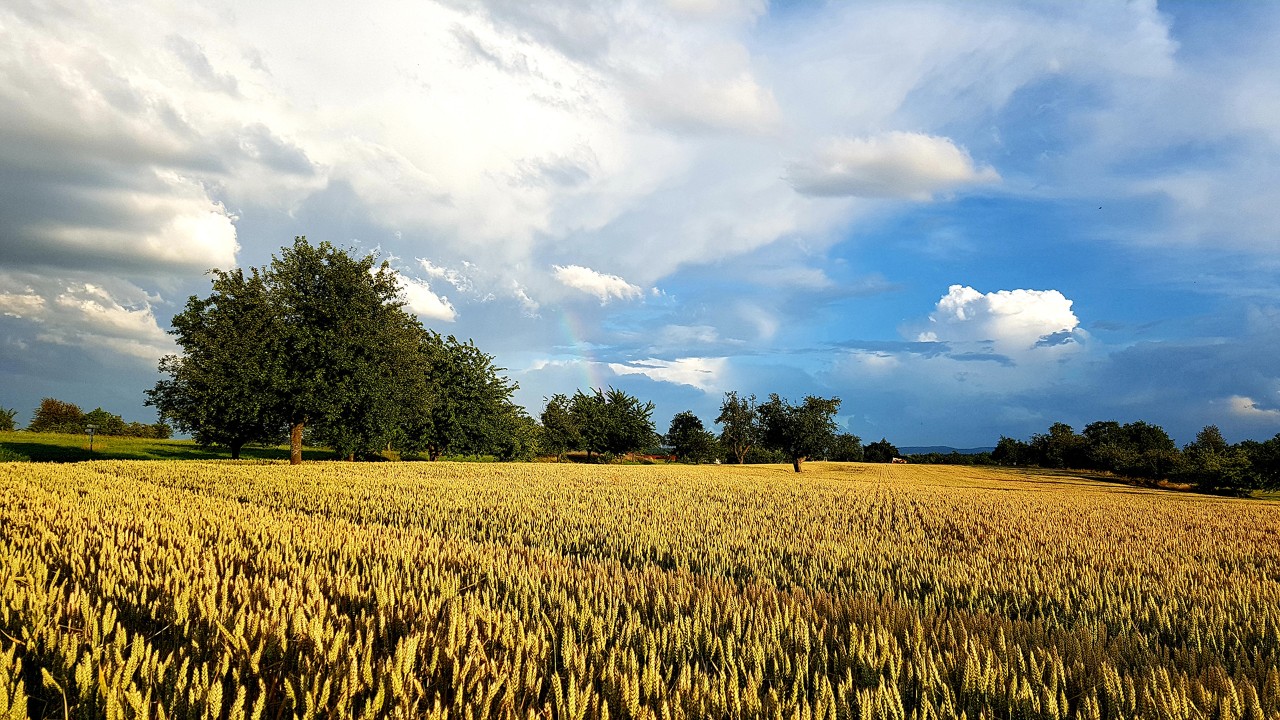 agricultural_bob综合是什么products