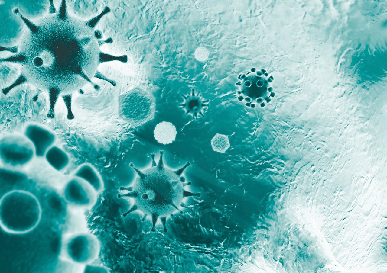 bob电竞安全吗bruker-hiv-virus