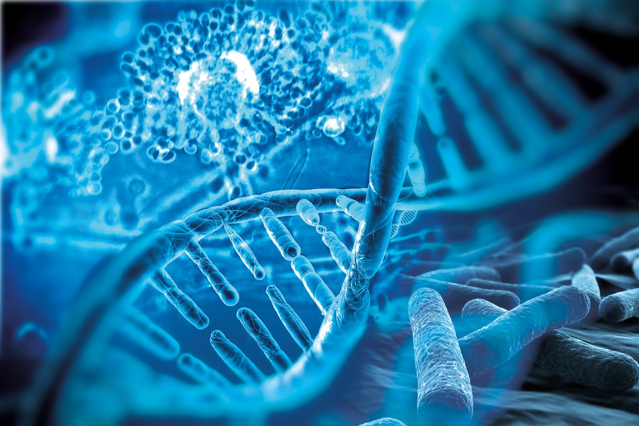molecular-diagnostics-bob电竞安全吗bruker-md