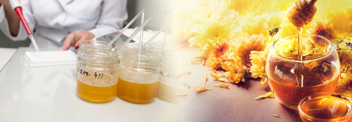 CSM_HONEY_BANNER_9554877D4F