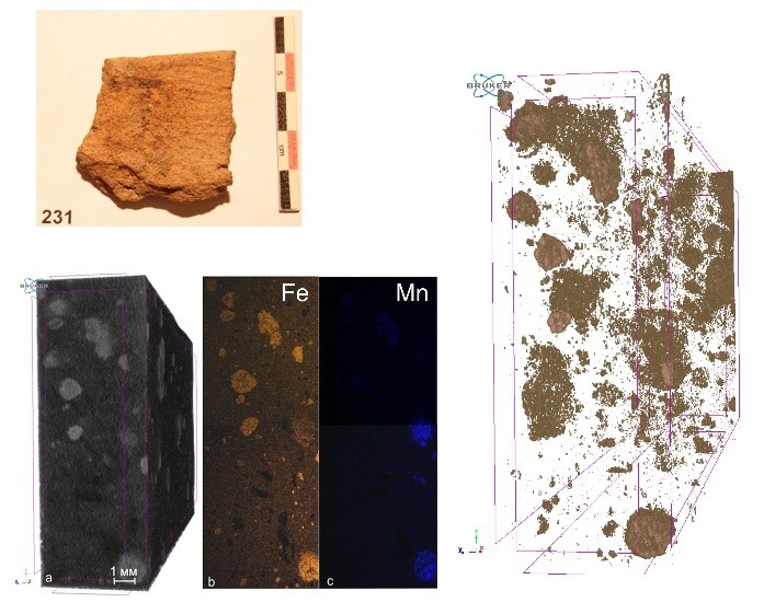 本机AmMicroCT——Ceramicserican箭头的断层