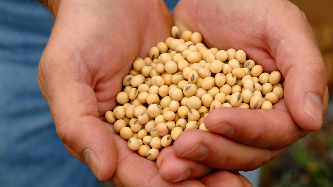 GRAINS_OILECEDS