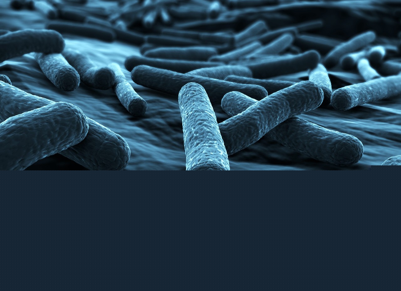carbaplex