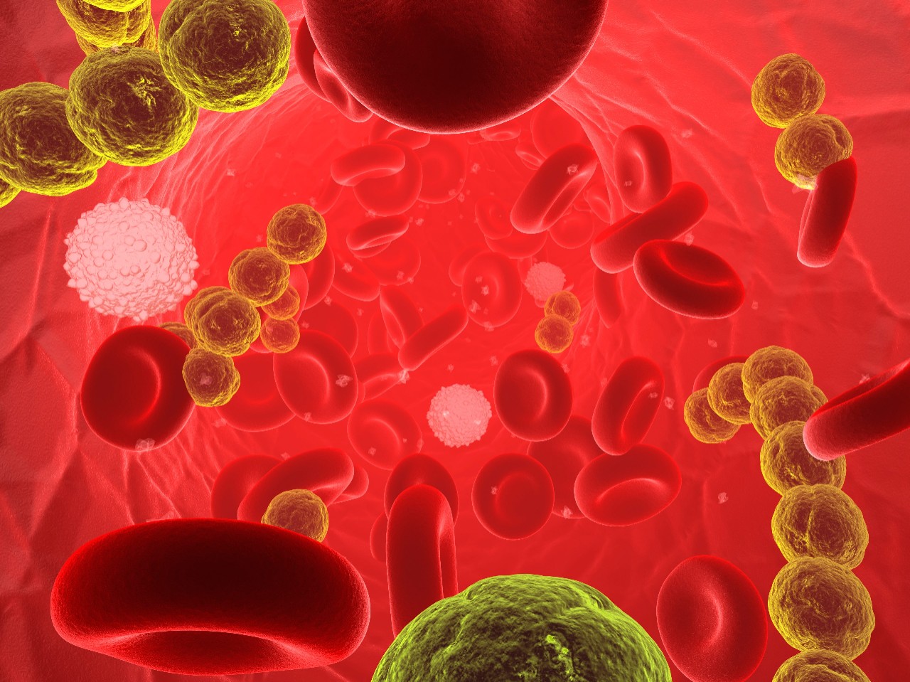 sepsis-and-resistance-testing-banner-bob电竞安全吗bruker