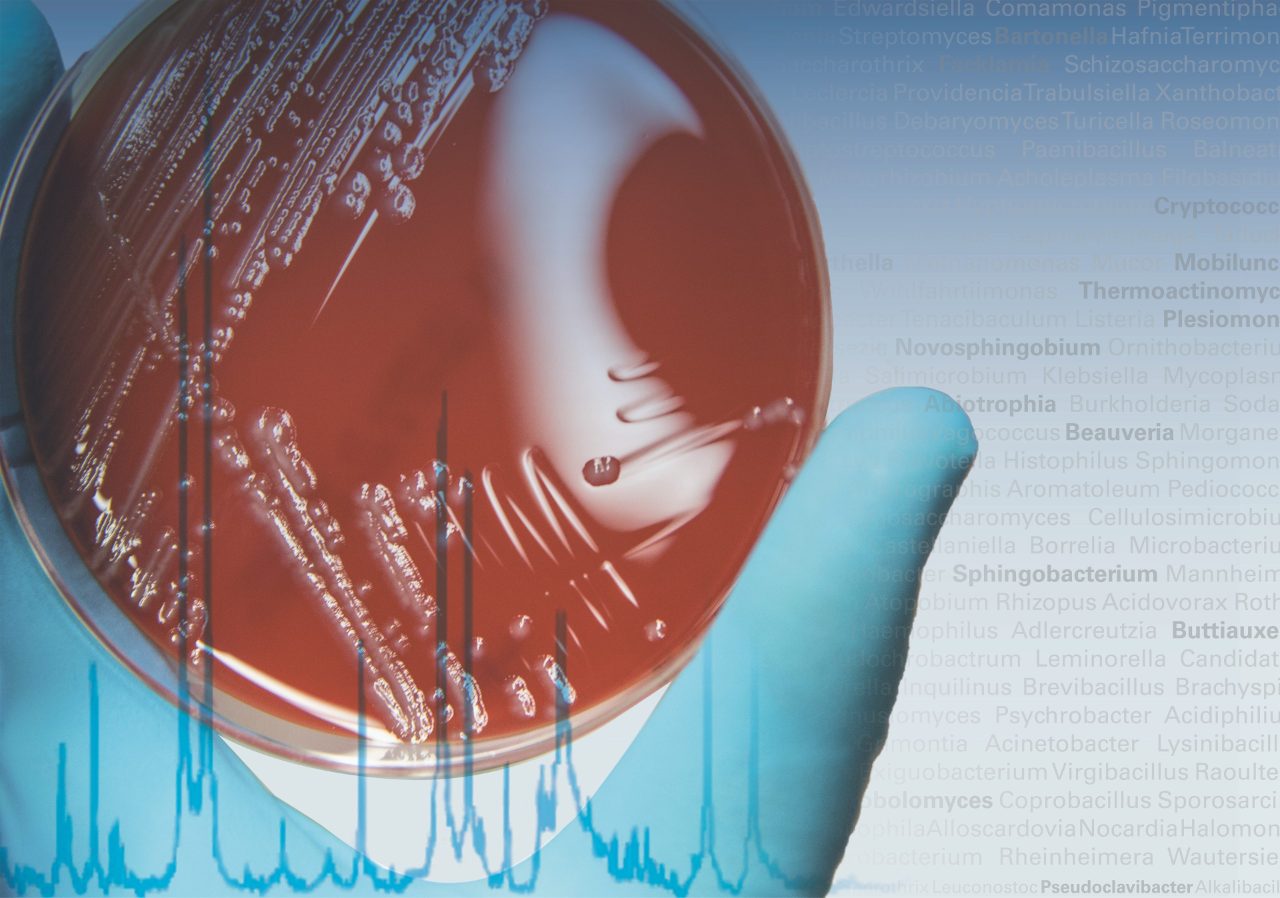 mbt_clinical-web