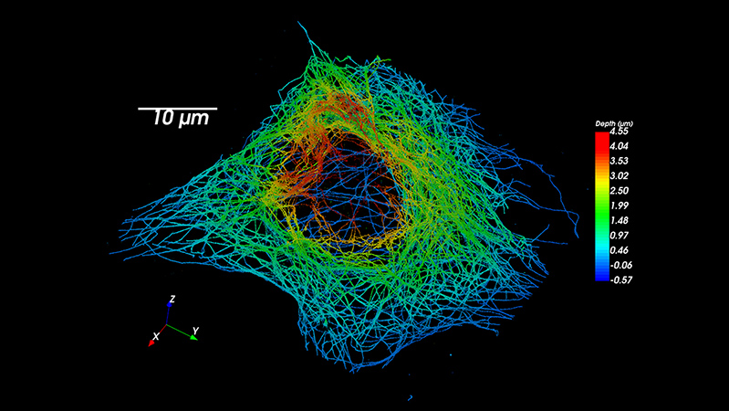 Vutara-cell-biology-teaser-bob电竞安全吗BRUKER