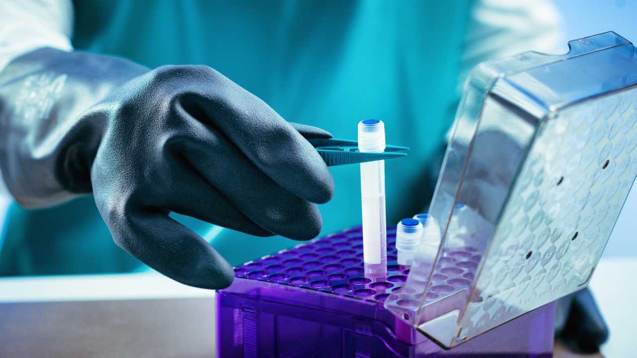 双。Biobanc QC