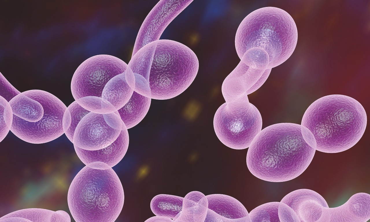 Fungiplex-Candida
