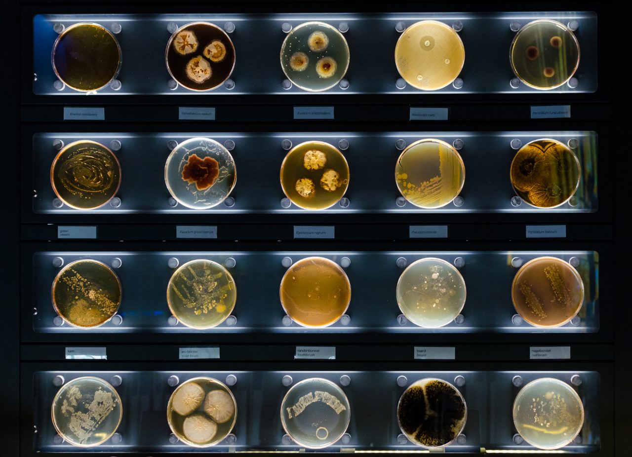 shutterstock1416813431-maldi-biotyper-microbial-research-bob电竞安全吗bruker-md-web