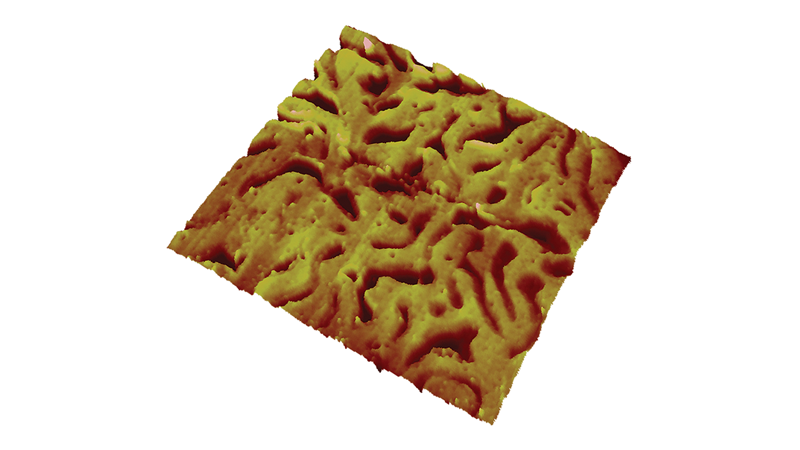 扫描电化学势显微镜(SECPM)模式的AFM