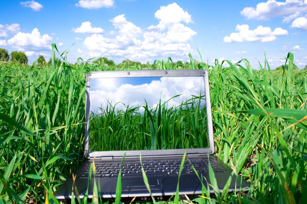green_it_banner