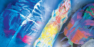 The Mapping brain functions provides by fMRI
