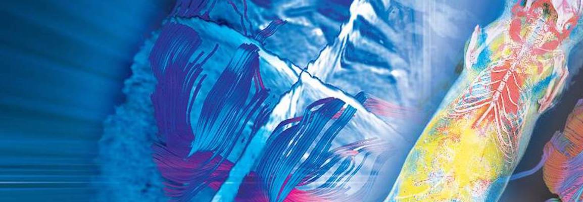 Banner - webinar - 2 - may - 2019