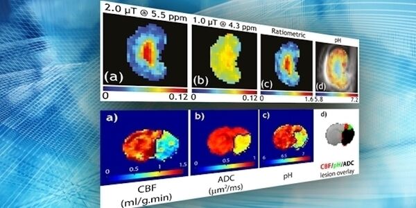 Csm_webinar _2b162c54c1-24 - September - 2020