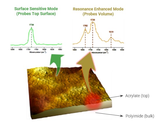 注释3 d AFM-IR化学地图AFM-IR光谱图进行相应的表面敏感的模式和开发模式特征
