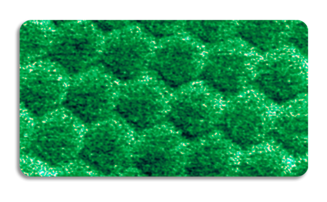 六方氮化硼上石墨烯的快速扫描AFM -峰力QNM模量成像
