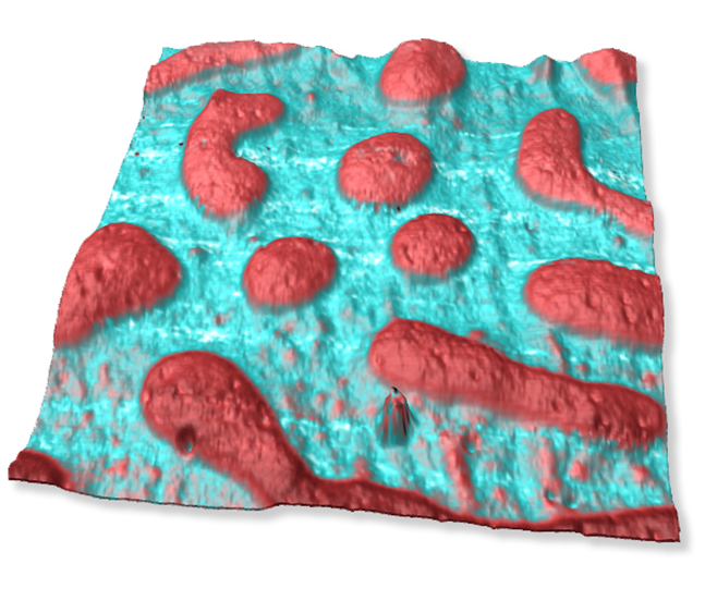尺寸FastScan AFM -损失模量PS矩阵和PMMA