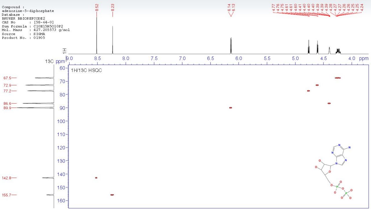腺苷-5-二磷酸盐，BBIoreFCode2化合物
