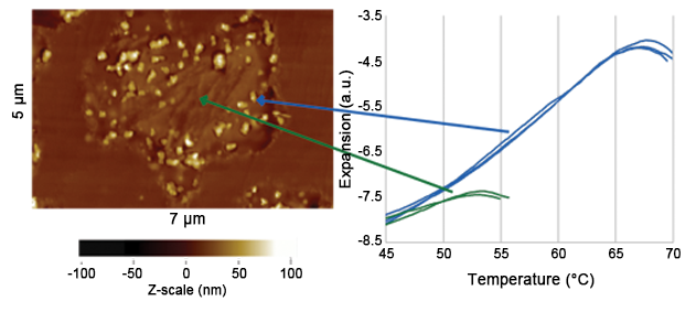 分析热mique à l ' échelle nanométrique (nanoTA)