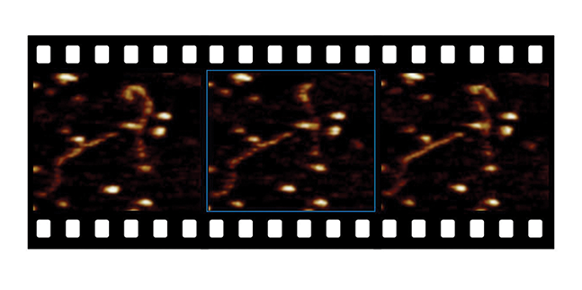 ディメンションファストスキャンafm -流体中のマdna