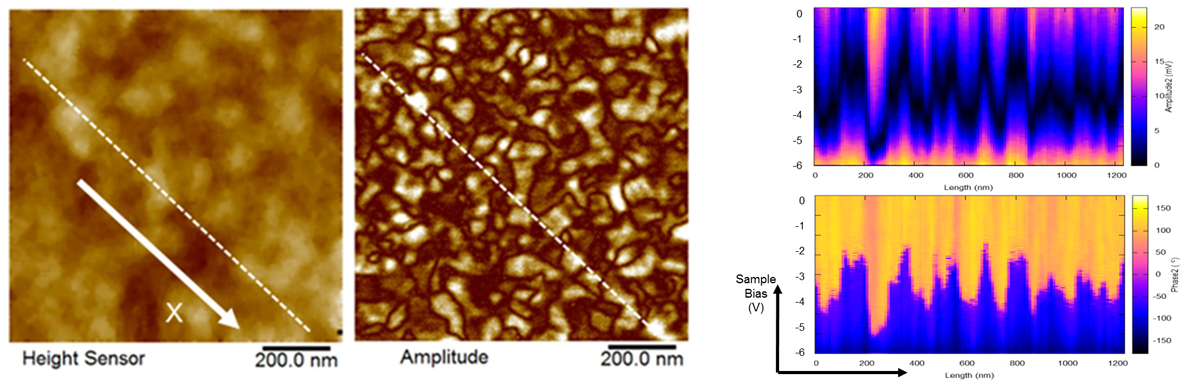 Datacube-PFM