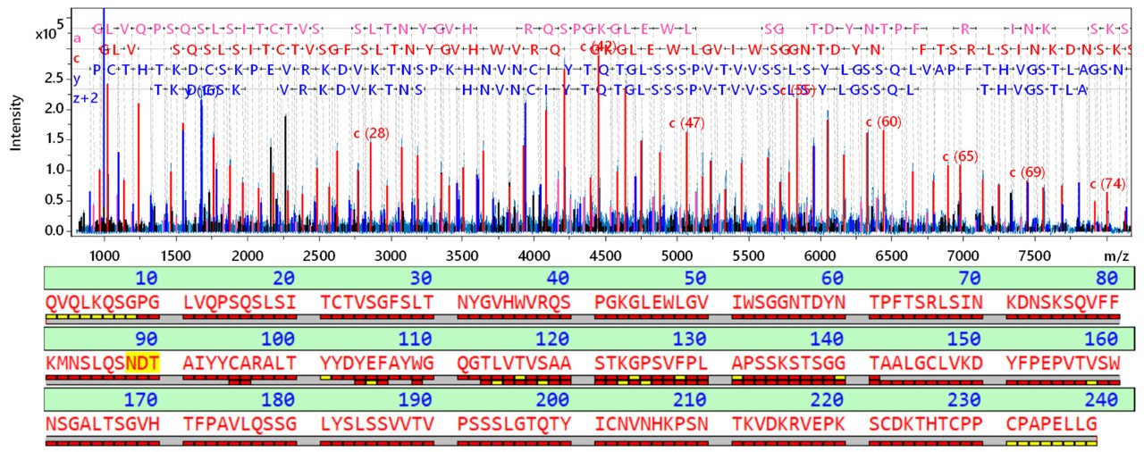 中 -  cetuximab fd亚单元亚单元亚单元覆盖覆盖覆盖覆盖