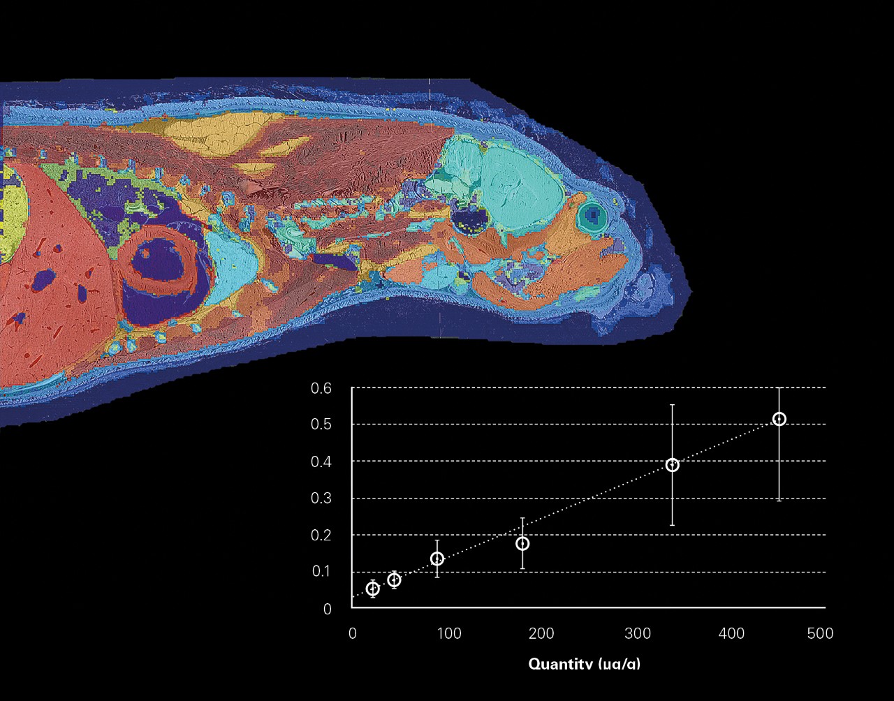 No mark target imaging and distribution map