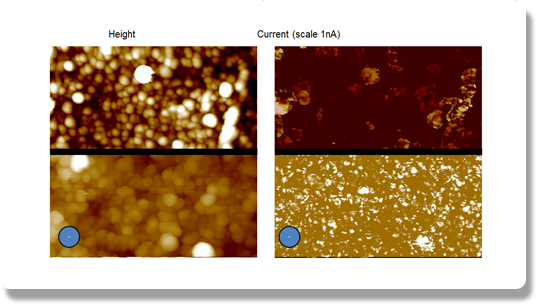 尺寸FastScan AFM -碳纳米管上的电流成像